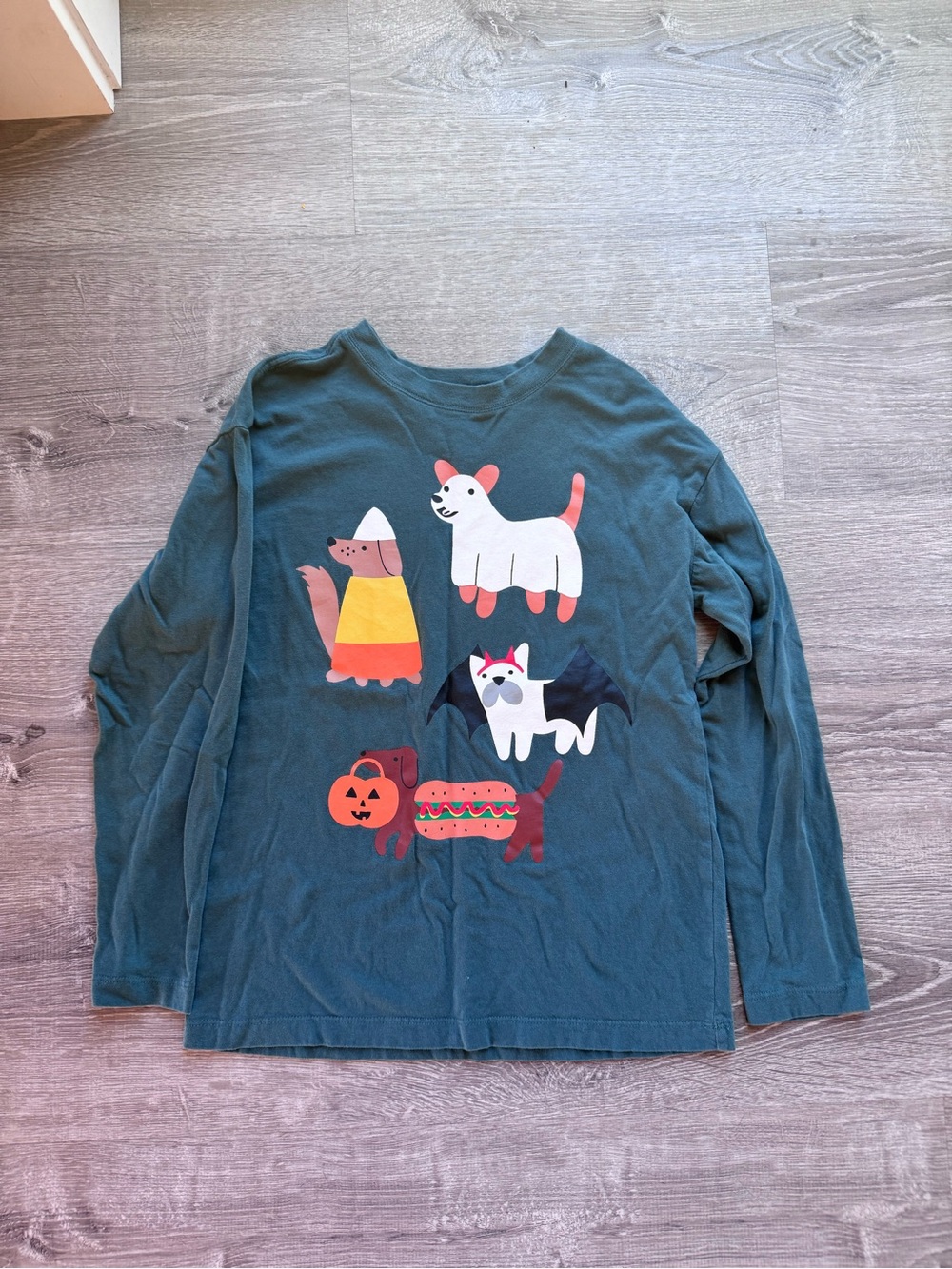 Hanna Andersson Halloween Shirt